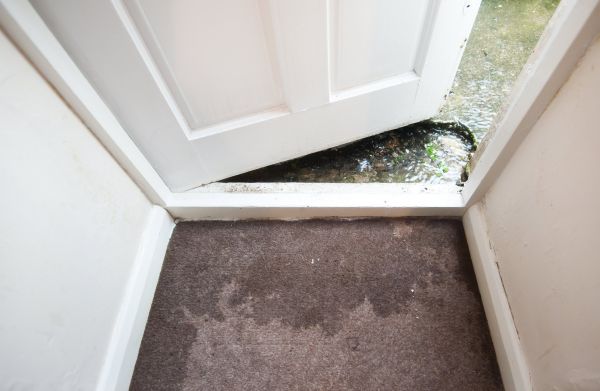 Wet Carpet Restoration in Folsom