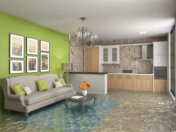 Wet Carpet Drying in Folsom