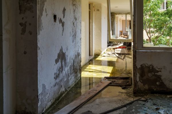 Cost of Water Removal Service in Folsom