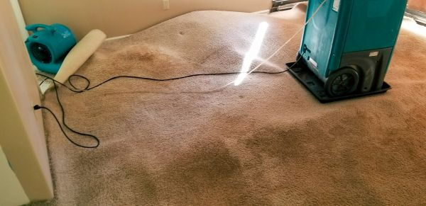 Carpet Water Extraction in Folsom